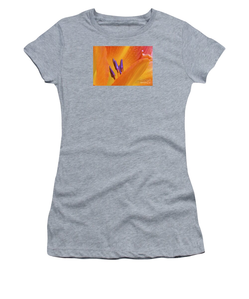 Day Lily Women's T-Shirt featuring the photograph Day Lily 2 by Richard J Thompson 