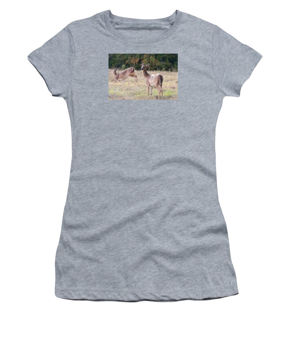 Deer Women's T-Shirt featuring the photograph Deer at Paynes Prairie by Paul Rebmann