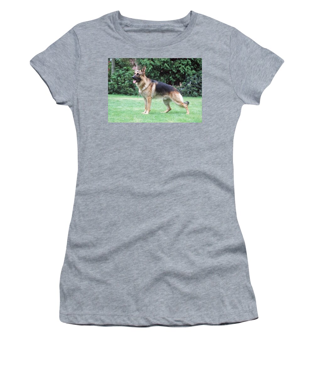 Dog Women's T-Shirt featuring the photograph German Shepherd #1 by John Daniels