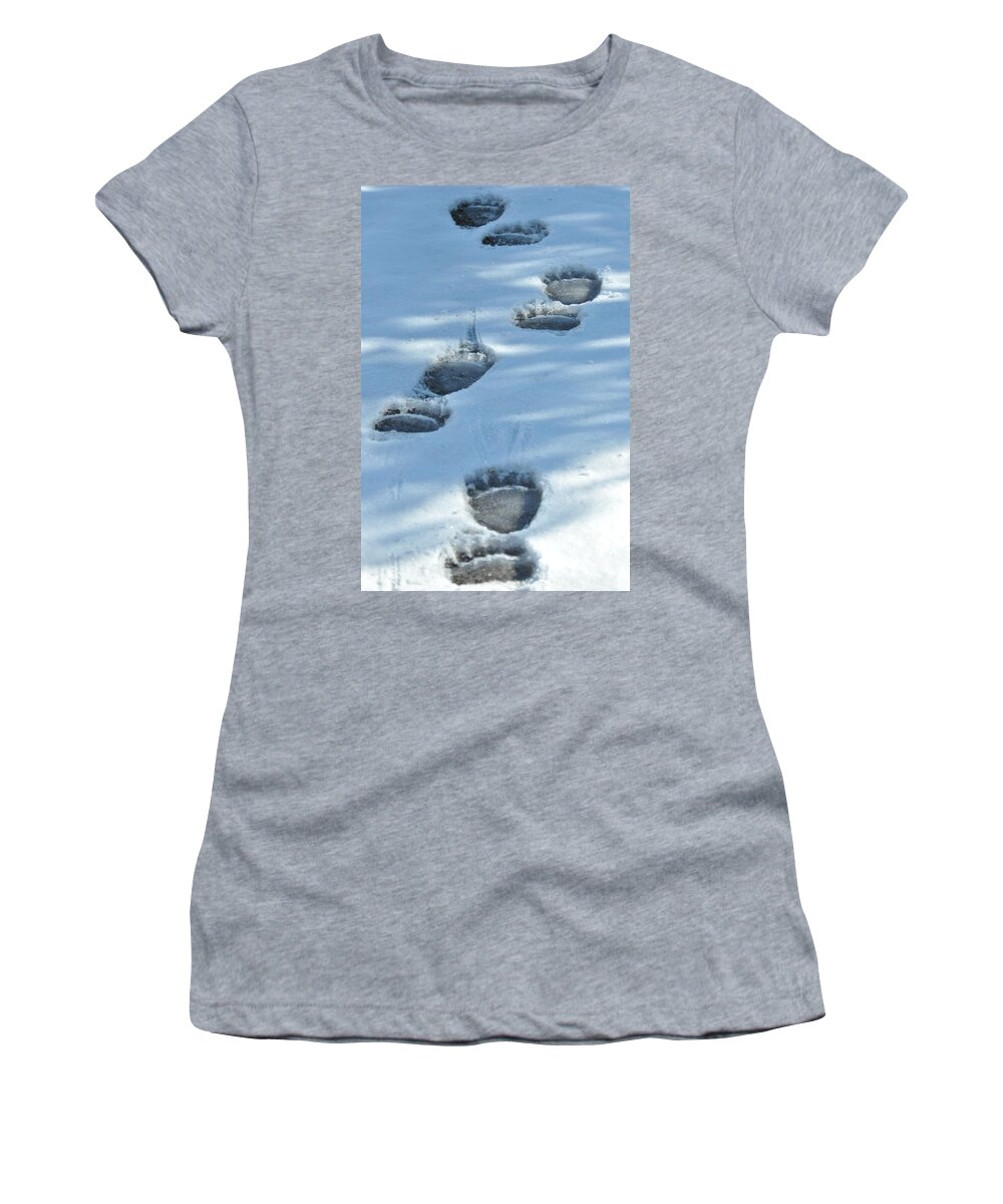 Blue Women's T-Shirt featuring the photograph Grizzly Bear Tracks by Frank Madia
