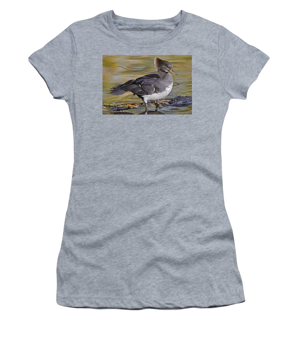 Hooded Merganser Women's T-Shirt featuring the photograph Hooded Merganser Duck #1 by Susan Candelario