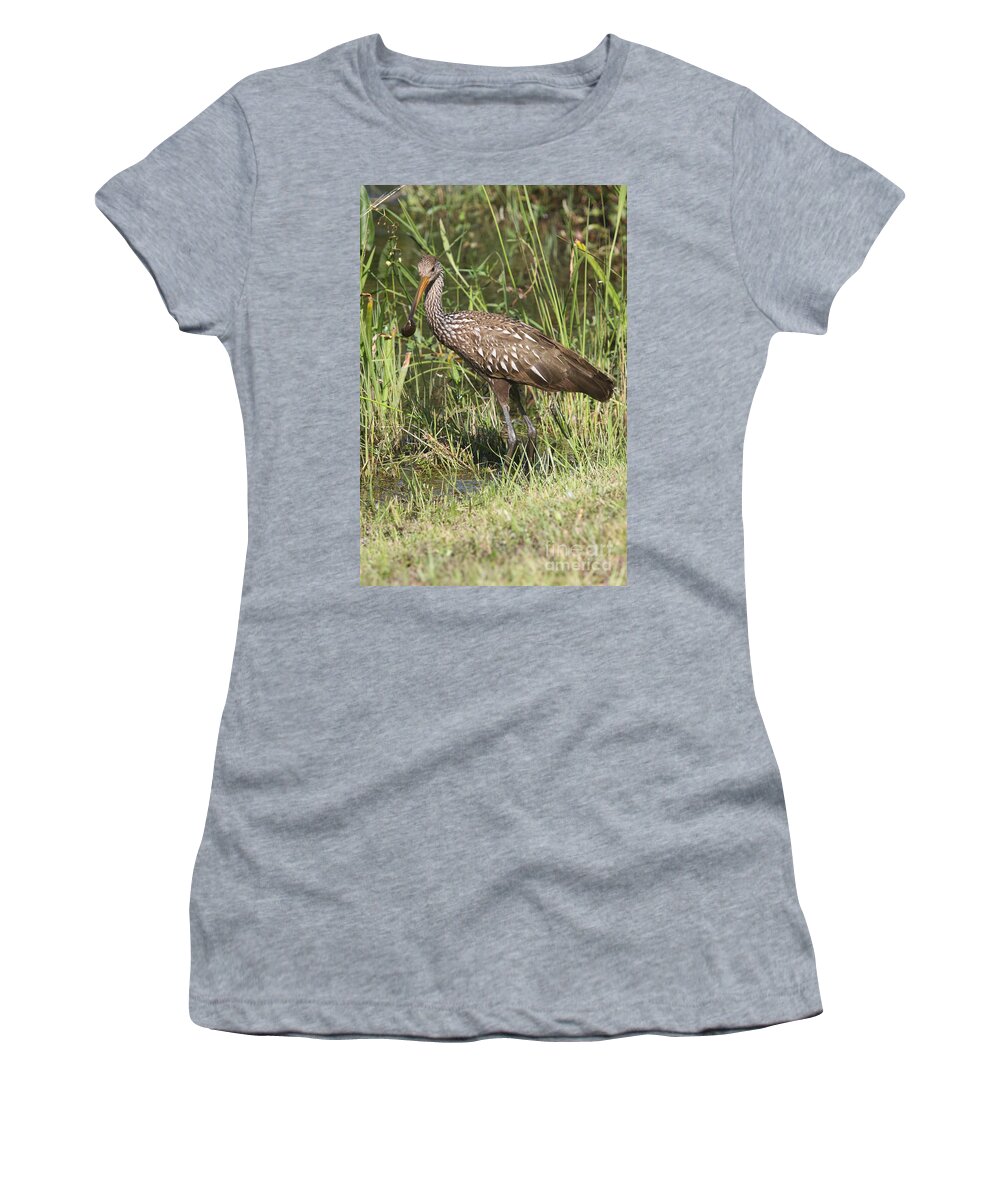 Limpkin Women's T-Shirt featuring the photograph Limpkin In The Glades by Christiane Schulze Art And Photography