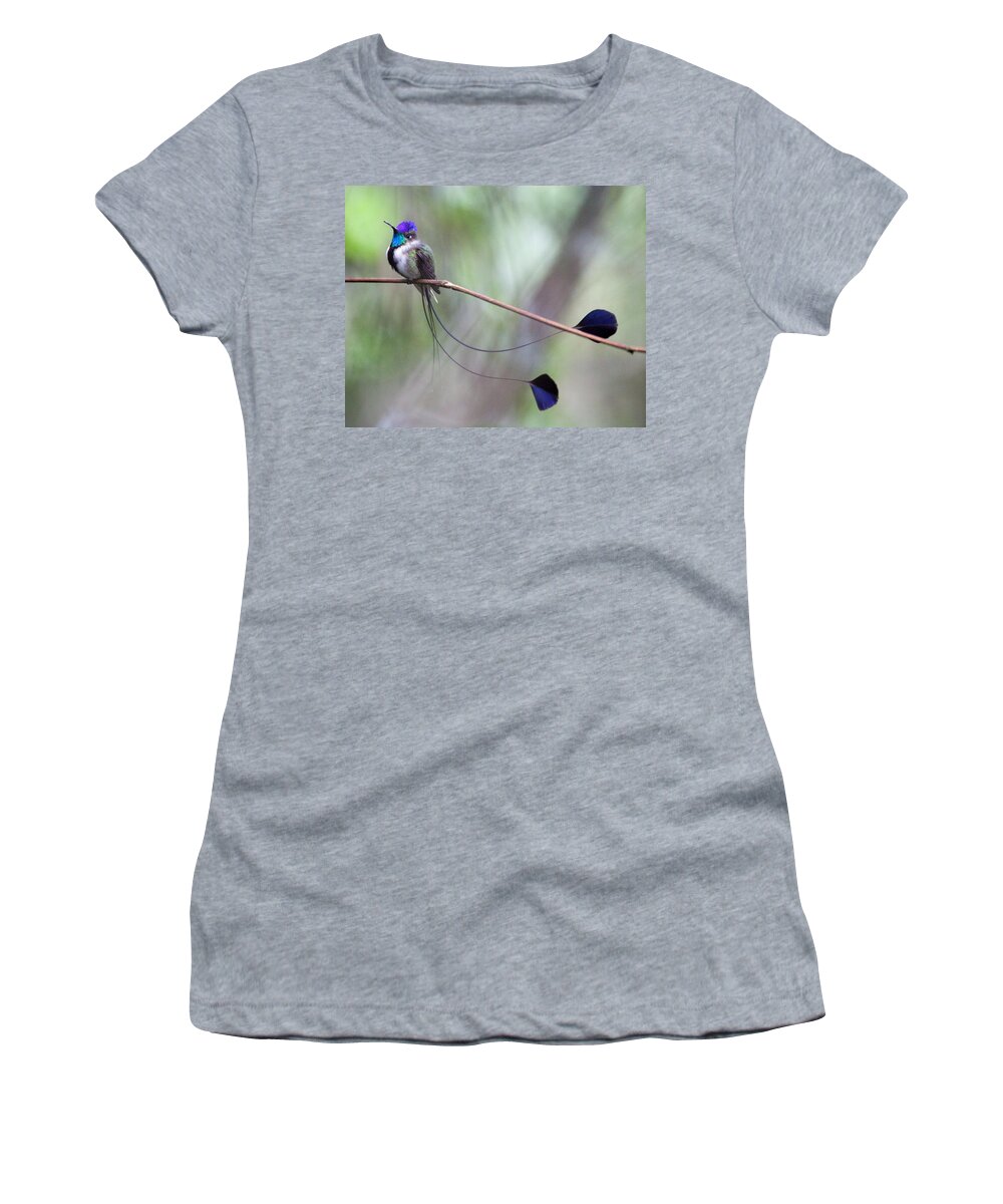 Peru Women's T-Shirt featuring the photograph Marvelous Spatuletail #1 by Max Waugh