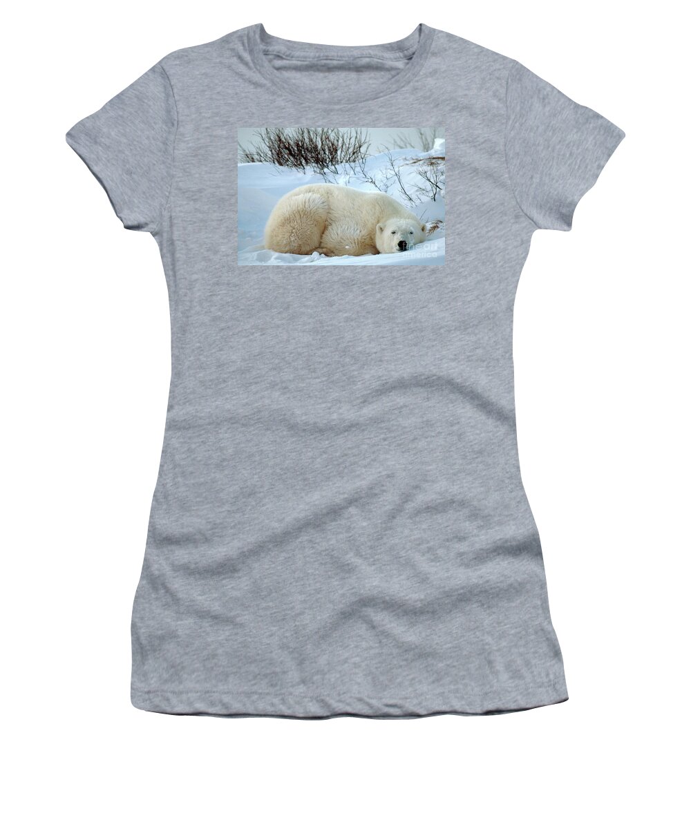 Polar Bear Women's T-Shirt featuring the photograph Polar Bear #3 by Mark Newman