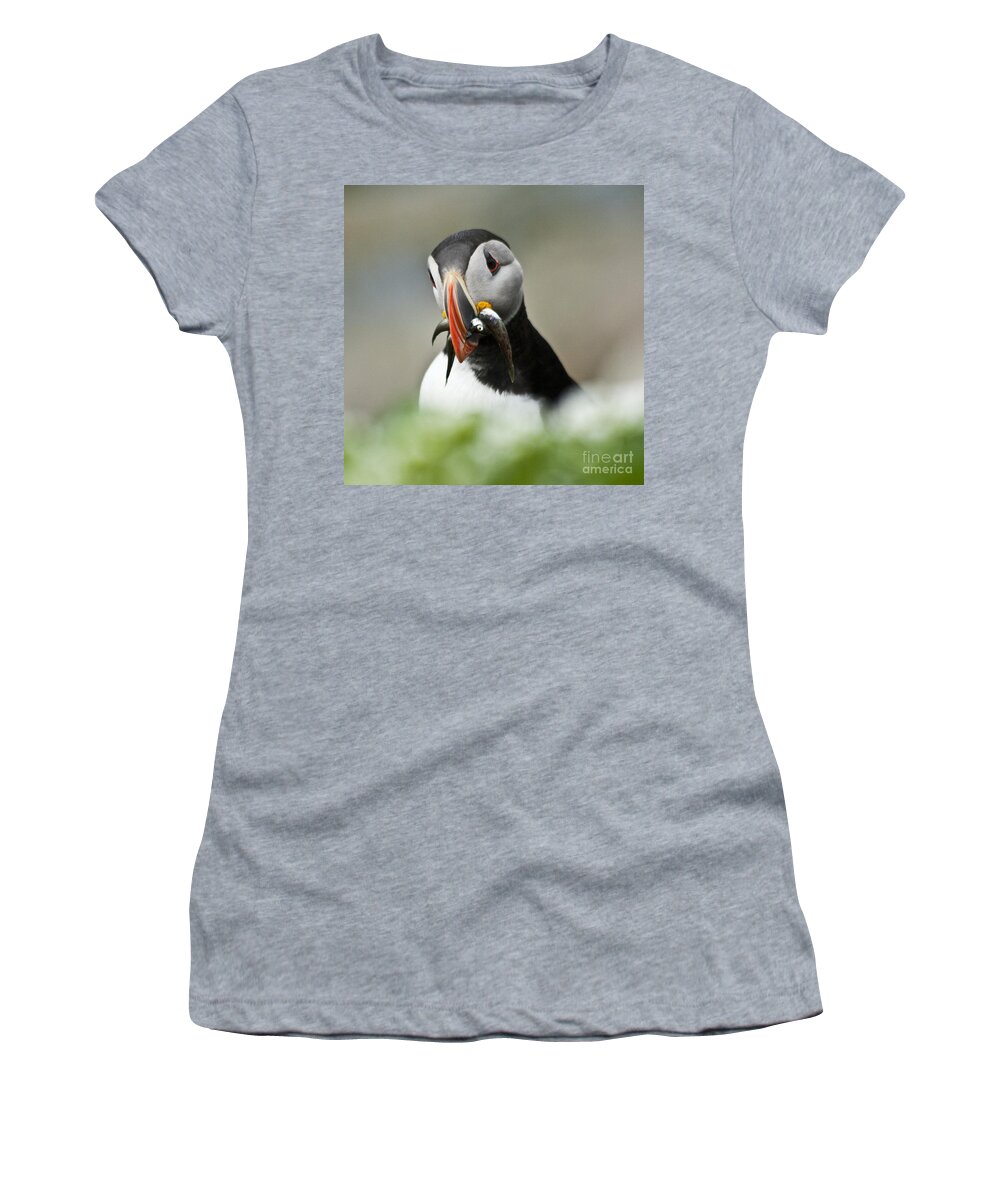 Bird Women's T-Shirt featuring the photograph Puffin with fish #3 by Heiko Koehrer-Wagner