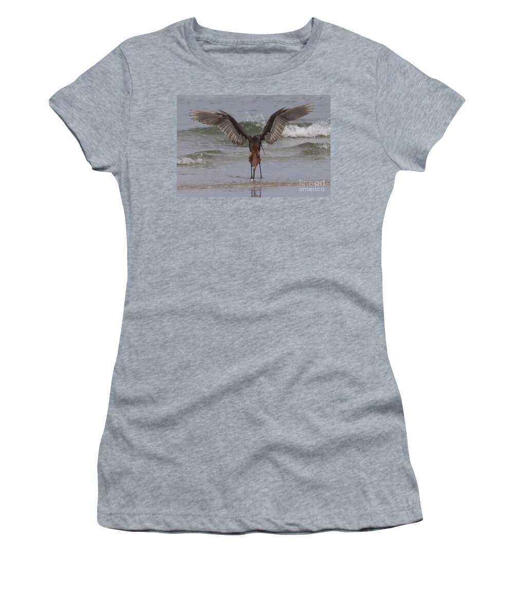 Reddish Egret Women's T-Shirt featuring the photograph Reddish Egret Fishing #1 by Meg Rousher