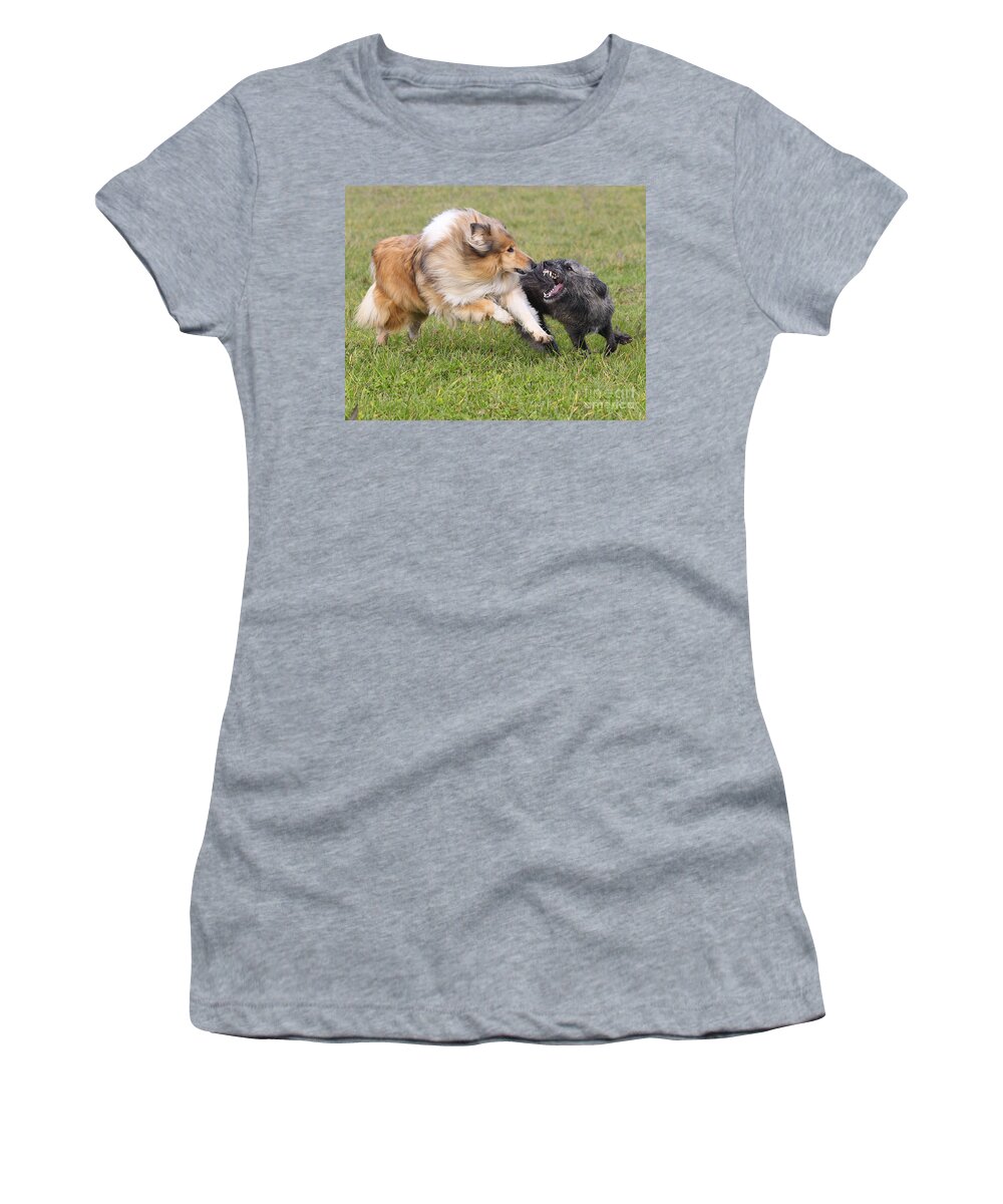 Rough Collie Women's T-Shirt featuring the photograph Rough Collie And Mutt #1 by Jean-Michel Labat