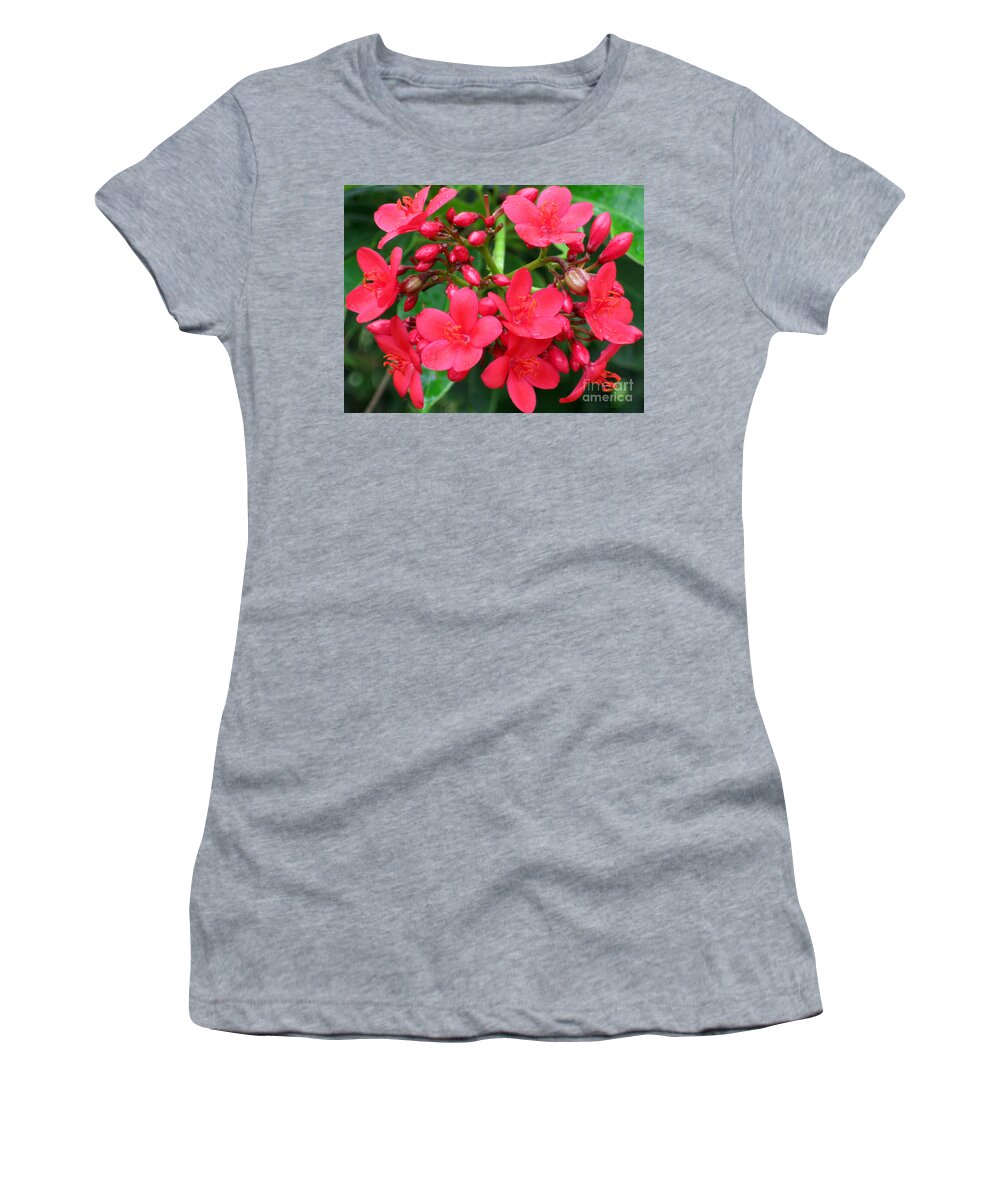 Spring Women's T-Shirt featuring the photograph Lovely Spring Flowers by Oksana Semenchenko
