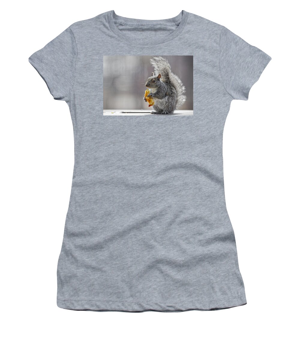 Adorable Women's T-Shirt featuring the photograph Squirrel #1 by Peter Lakomy