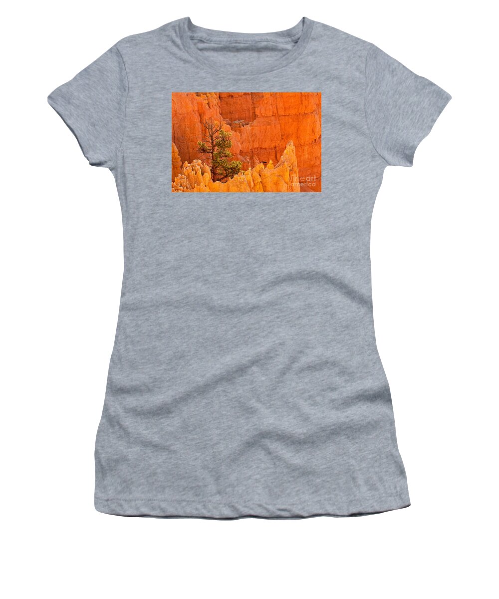 Bryce Canyon Women's T-Shirt featuring the photograph Sunset Point Bryce Canyon National Park #1 by Fred Stearns