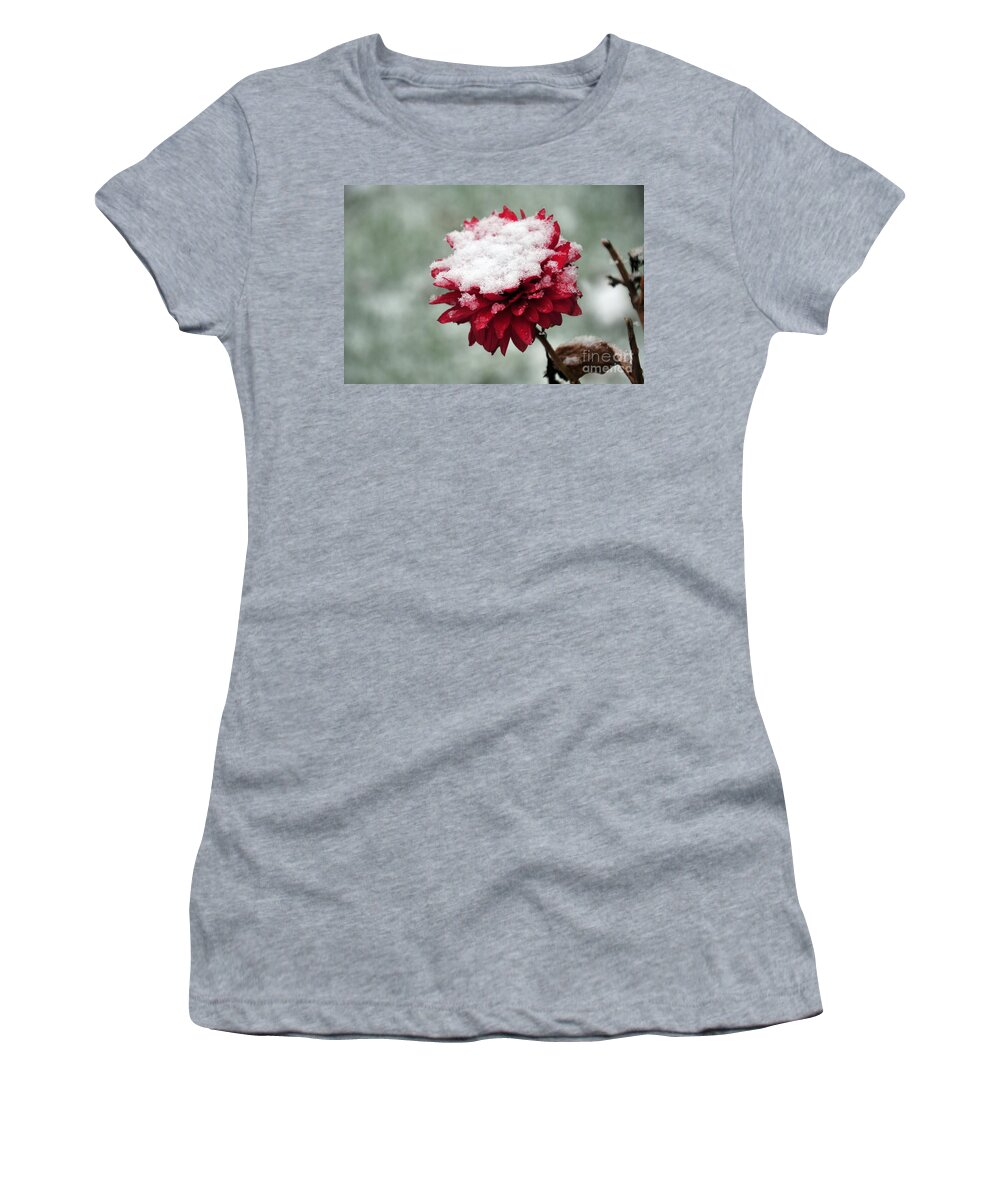 Flower Women's T-Shirt featuring the photograph Survival of the Fittest #1 by Randi Grace Nilsberg