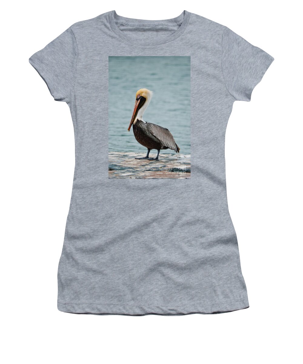 Usa Women's T-Shirt featuring the photograph The Pelican by Hannes Cmarits