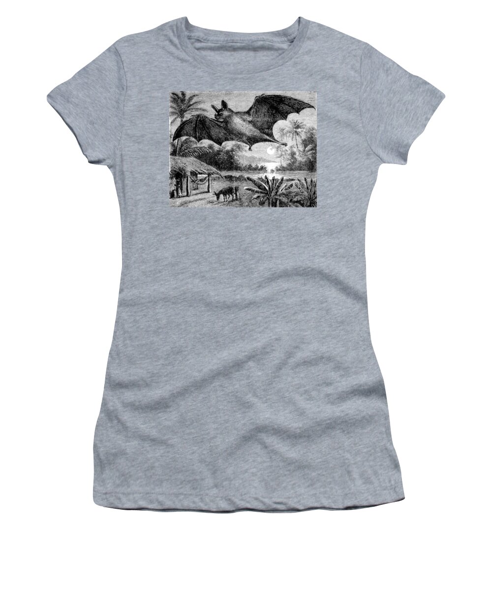 Vampire Bat Women's T-Shirt featuring the photograph Vampire Bat, 1898 #1 by British Library