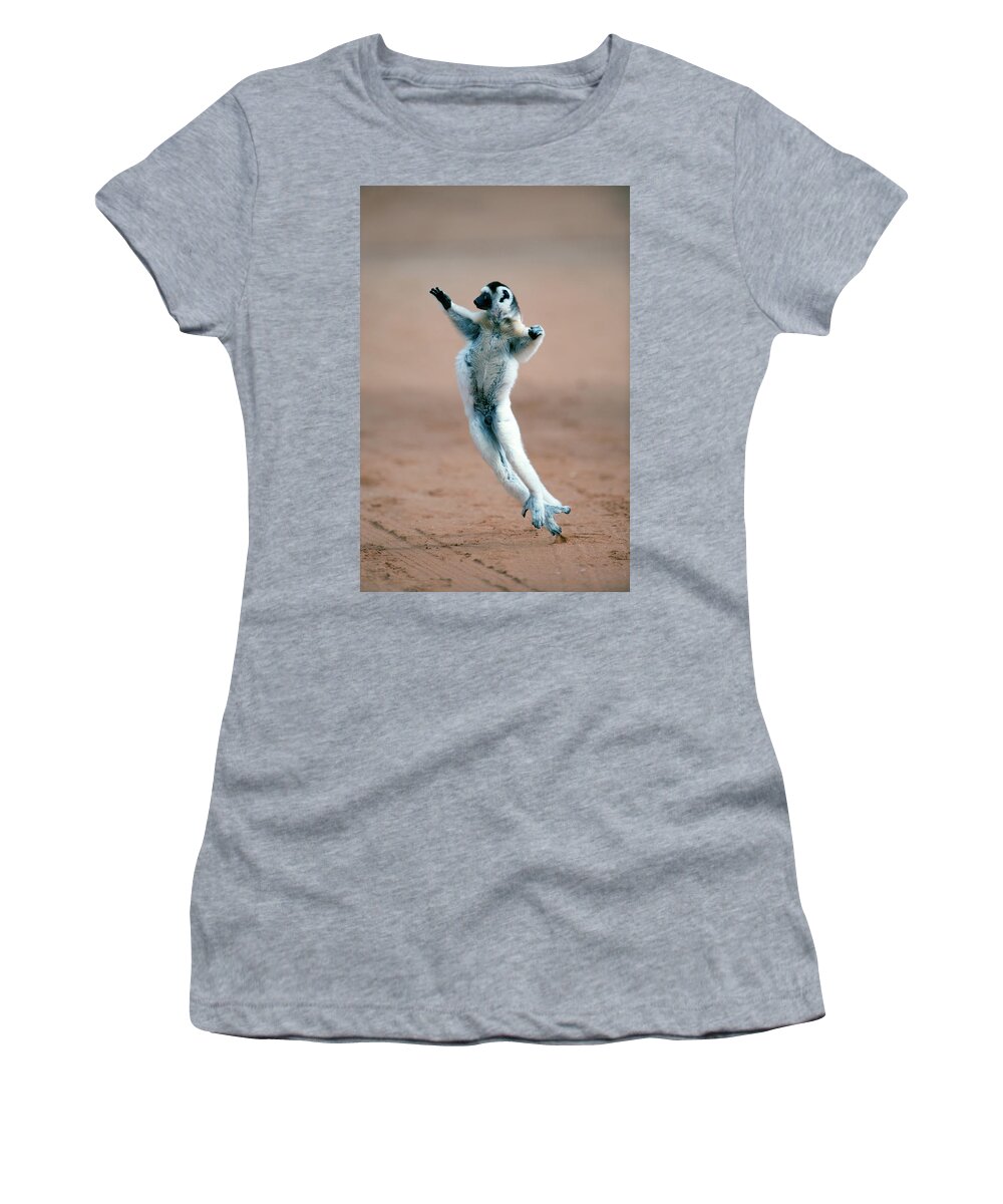 Photography Women's T-Shirt featuring the photograph Verreauxs Sifaka Propithecus Verreauxi #1 by Animal Images