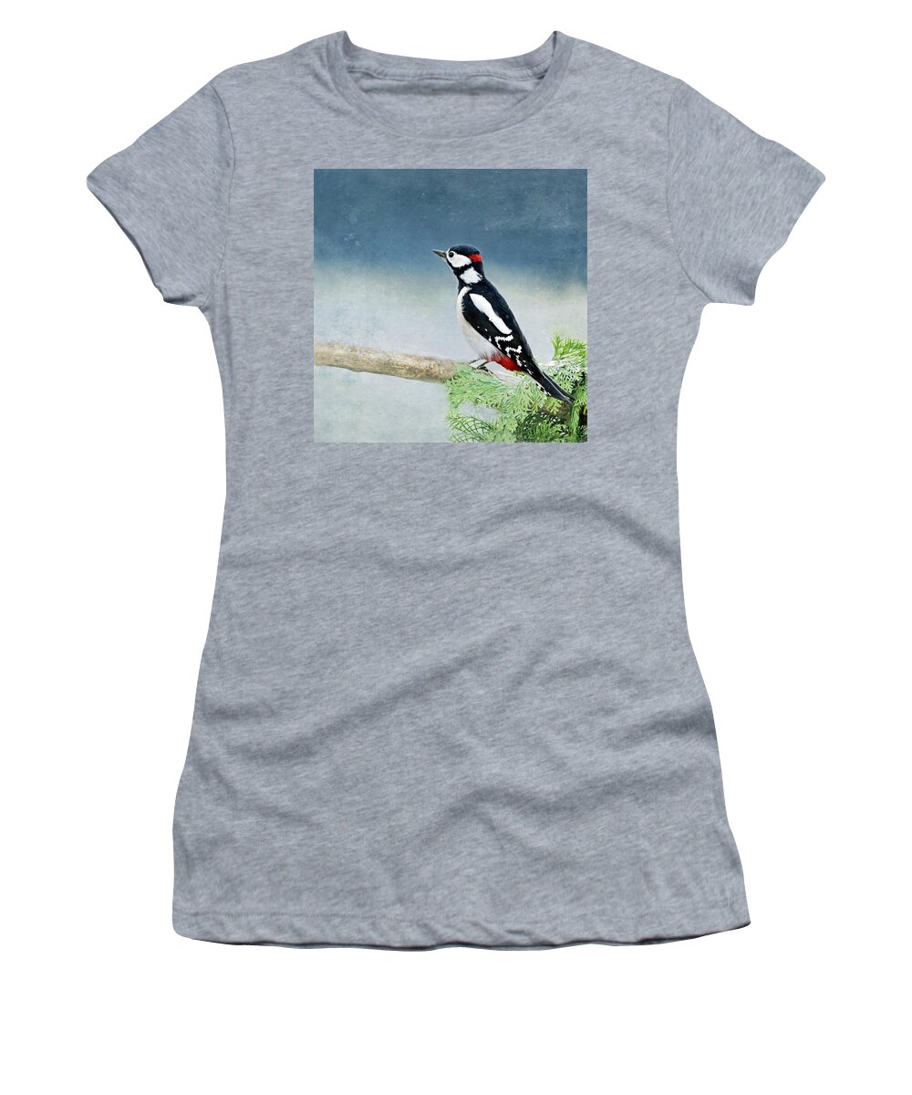 Woodpecker Women's T-Shirt featuring the mixed media Woodpecker #1 by Heike Hultsch