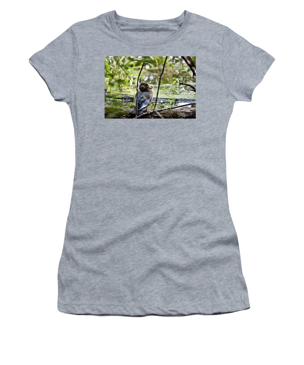 Women's T-Shirt featuring the photograph Young Wood Duck #1 by Cheryl Baxter