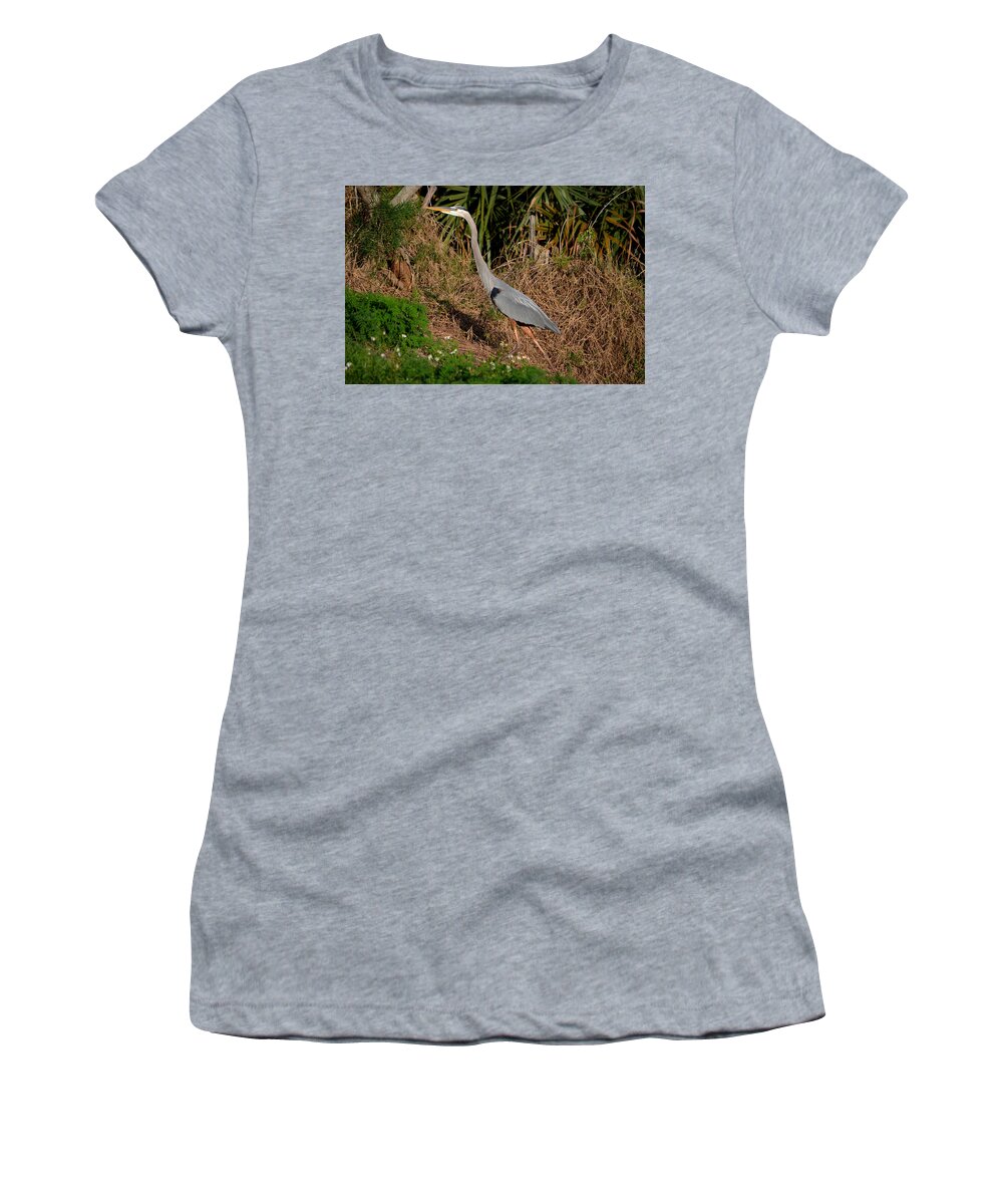  Women's T-Shirt featuring the photograph 11- Great Blue Heron by Joseph Keane