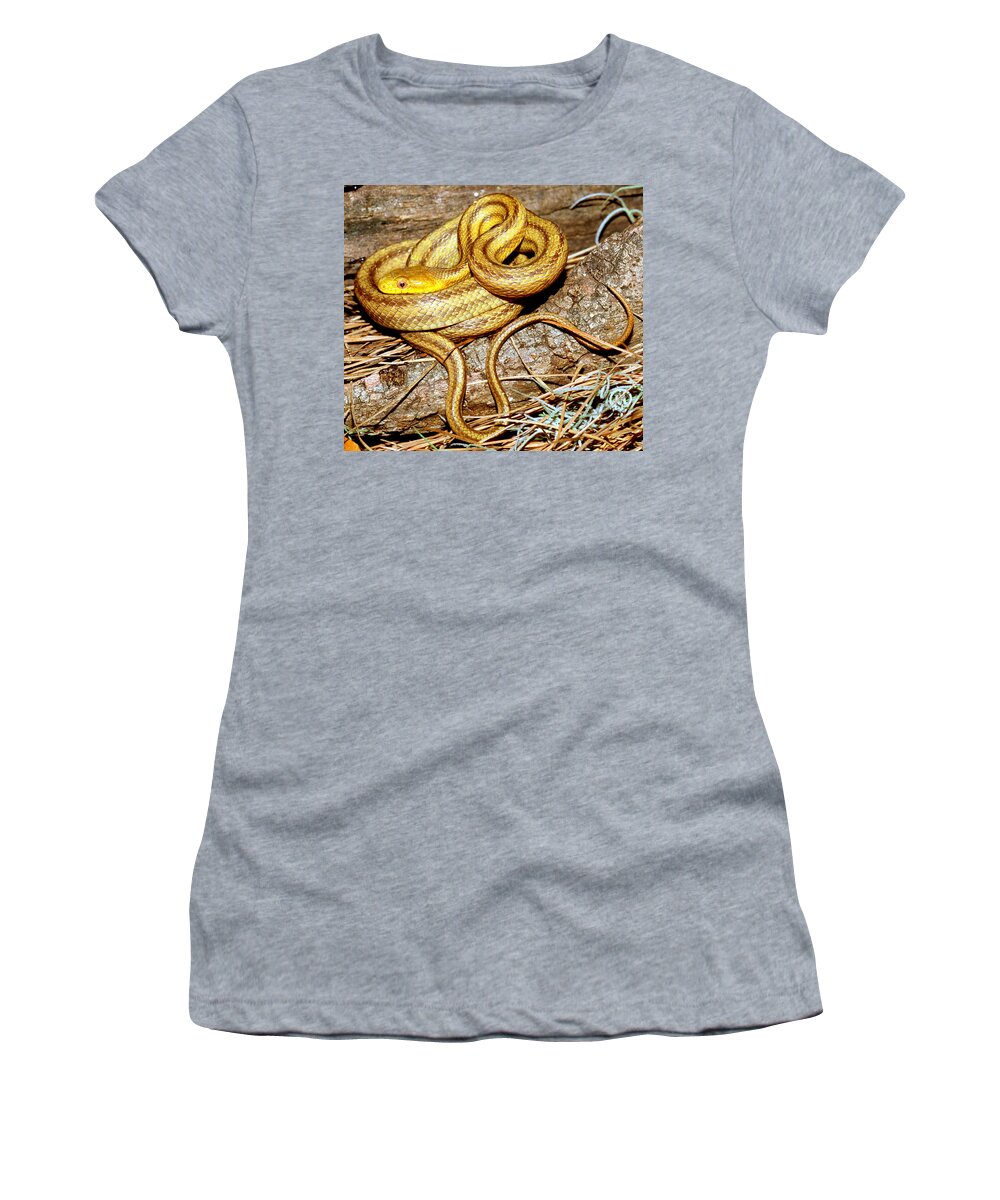 Yellow Rat Snake Women's T-Shirt featuring the photograph Yellow Rat Snake #12 by Millard H. Sharp