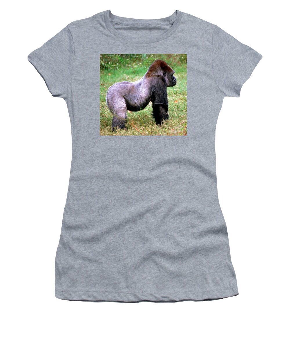 Western Lowland Gorilla Women's T-Shirt featuring the photograph Western Lowland Gorilla #14 by Millard H. Sharp
