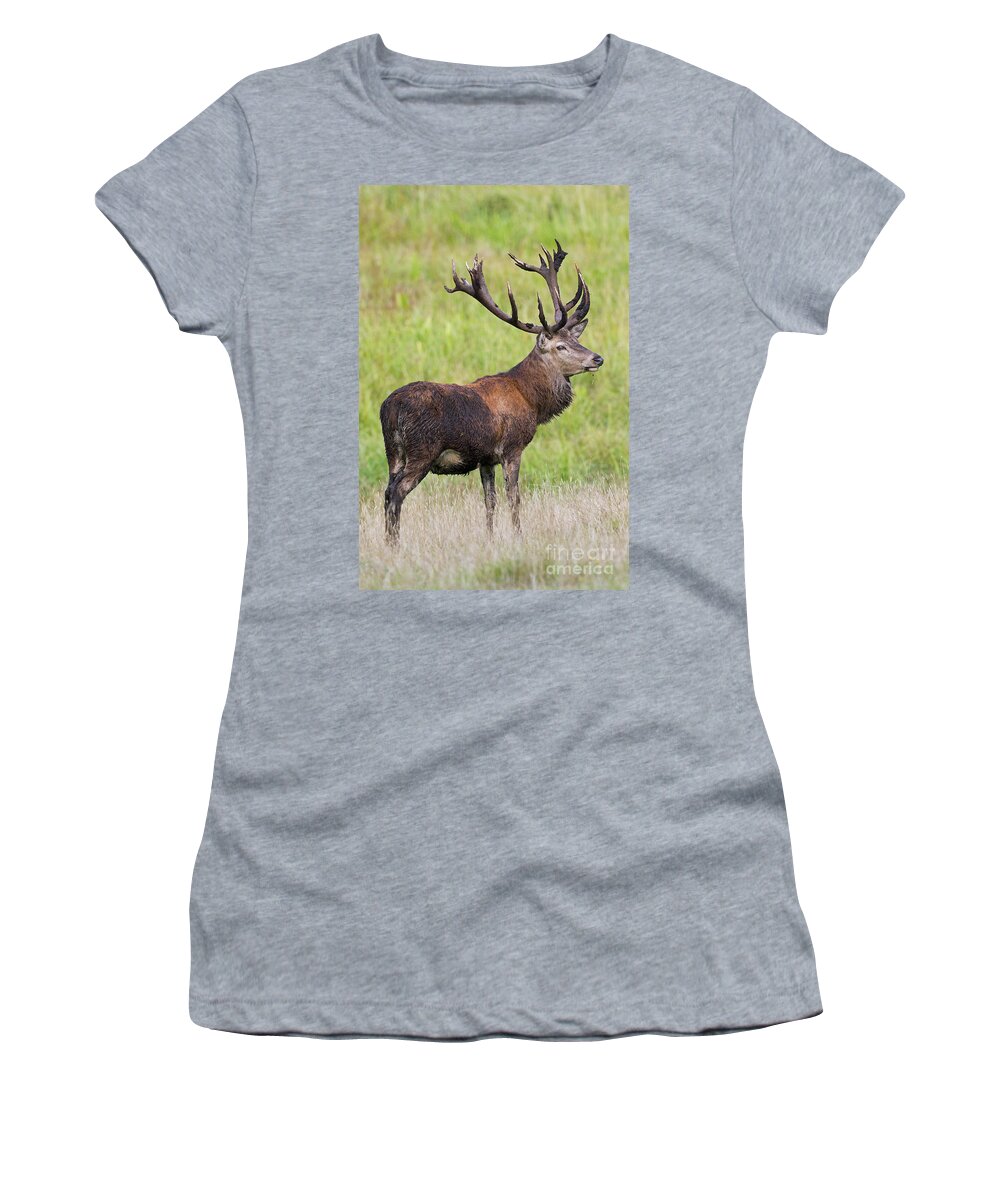 Red Deer Women's T-Shirt featuring the photograph 140314p107 by Arterra Picture Library