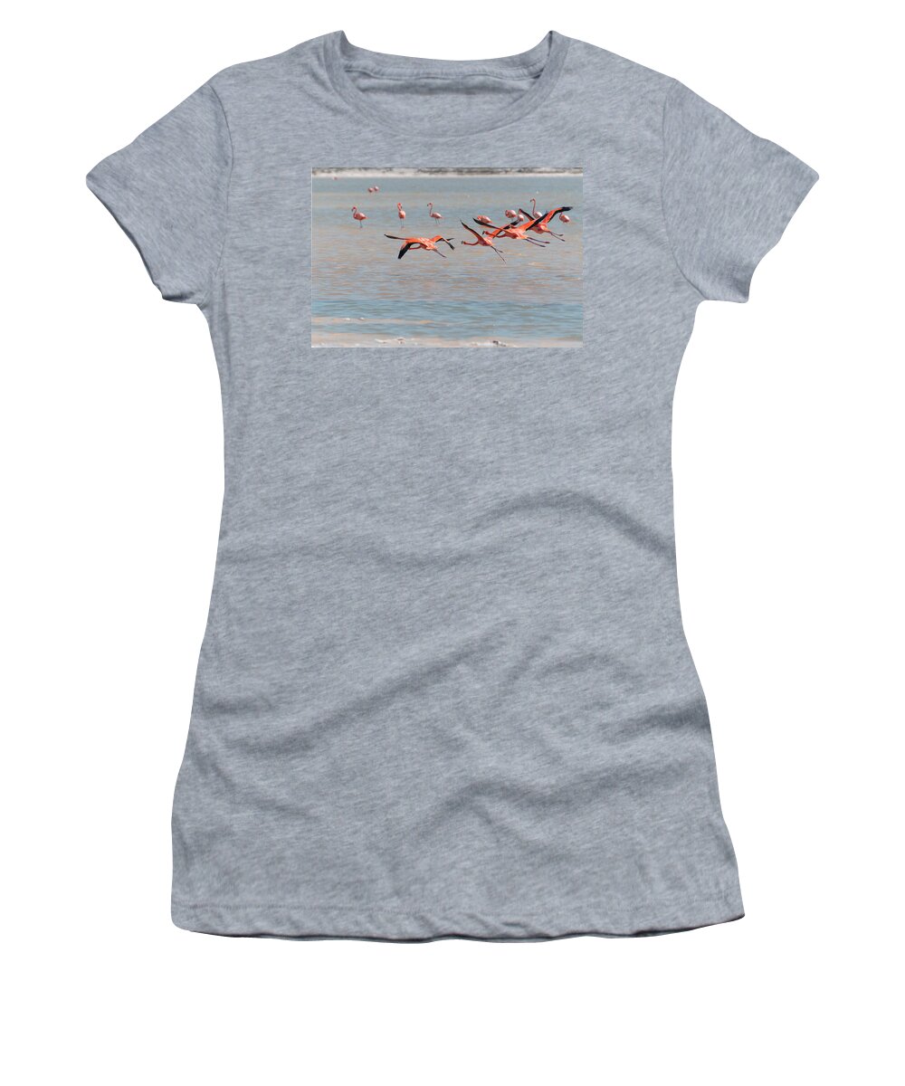 Mexico Yucatan Women's T-Shirt featuring the digital art Flamingos #18 by Carol Ailles