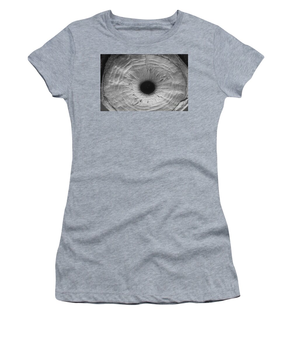Iris Women's T-Shirt featuring the photograph Anterior Surface Of Iris, Sem #2 by Ralph C. Eagle, Jr.