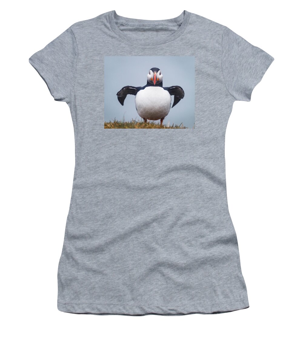 Photography Women's T-Shirt featuring the photograph Atlantic Puffin Fratercula Arctica #2 by Panoramic Images