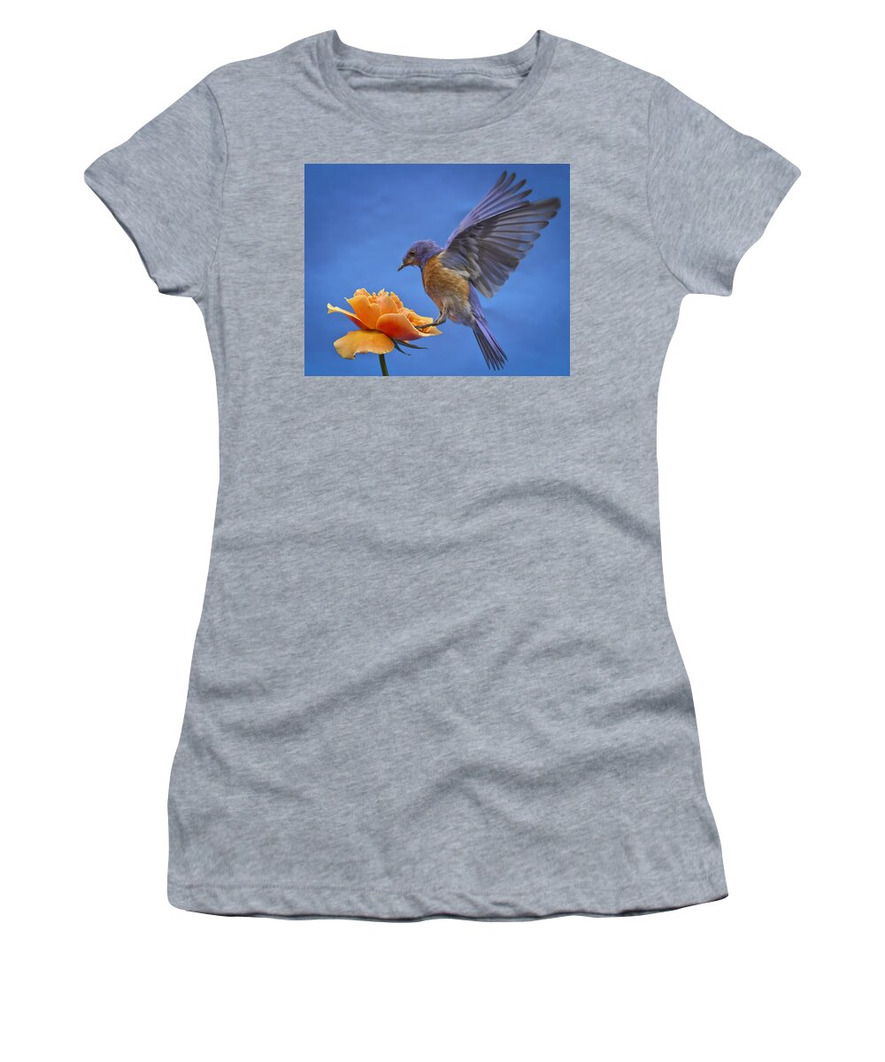 Animals Women's T-Shirt featuring the photograph Balancing Act #2 by Jean Noren