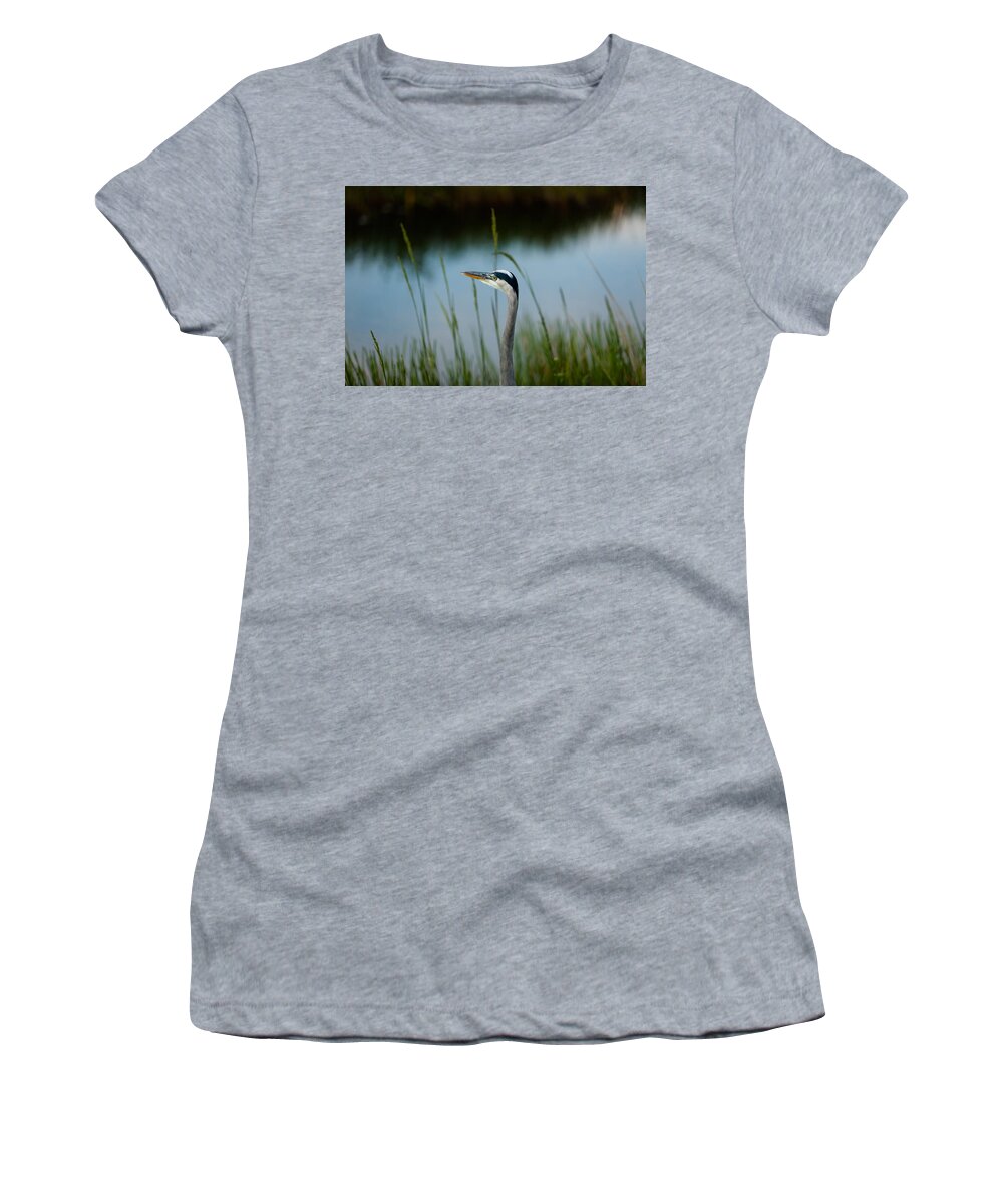 Blue Heron Women's T-Shirt featuring the photograph Blue Heron #2 by Raul Rodriguez