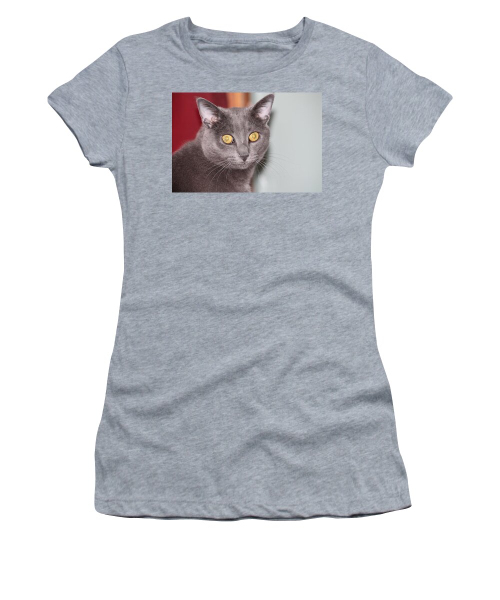 Cats Women's T-Shirt featuring the photograph Cat #2 by Karl Rose