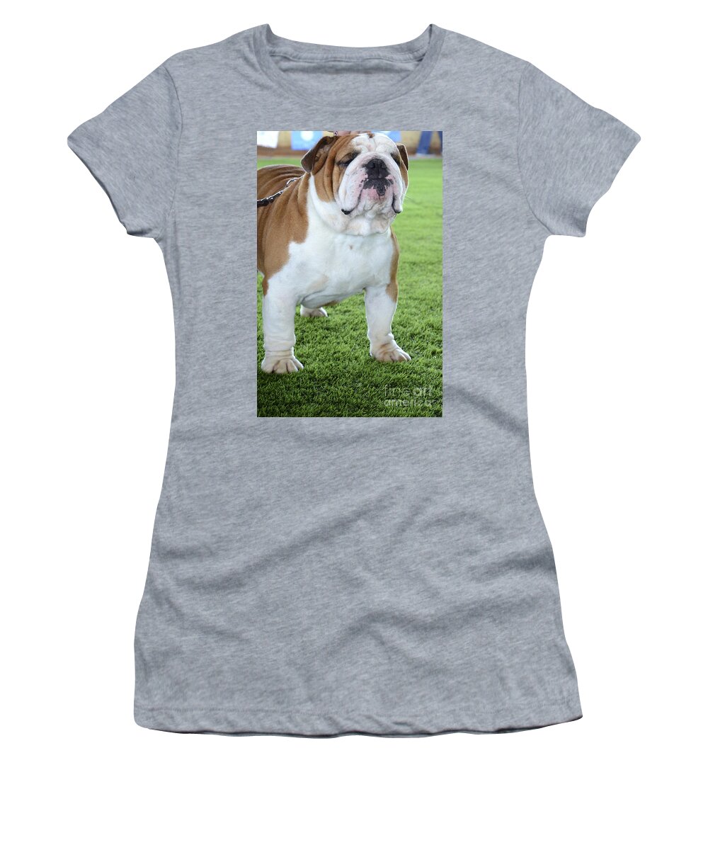 English Bulldog Women's T-Shirt featuring the photograph English Bulldog #2 by Amir Paz
