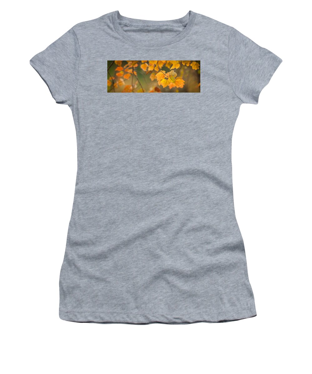 Autumn Women's T-Shirt featuring the photograph Golden Fall Leaves #2 by Joye Ardyn Durham