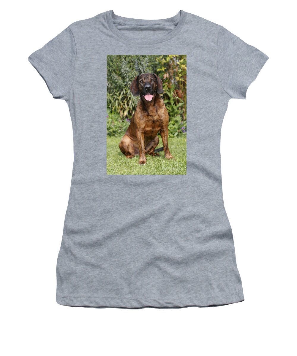 Dog Women's T-Shirt featuring the photograph Hanover Hound #2 by Duncan Usher