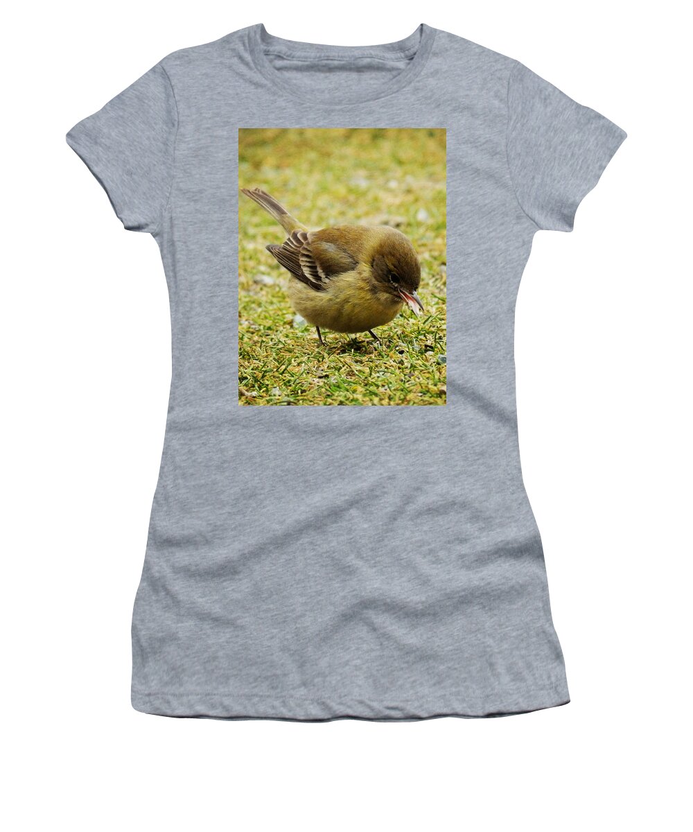 Pine Warbler Women's T-Shirt featuring the photograph Lunch Time #3 by Zinvolle Art