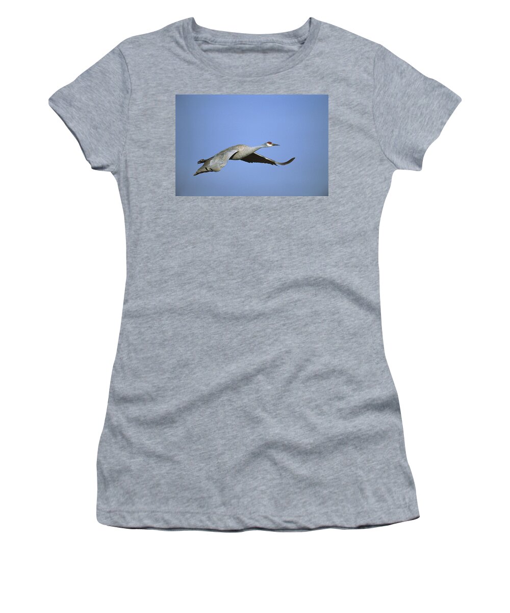 Feb0514 Women's T-Shirt featuring the photograph Sandhill Cranes Flying Bosque Del Apache #2 by Tom Vezo