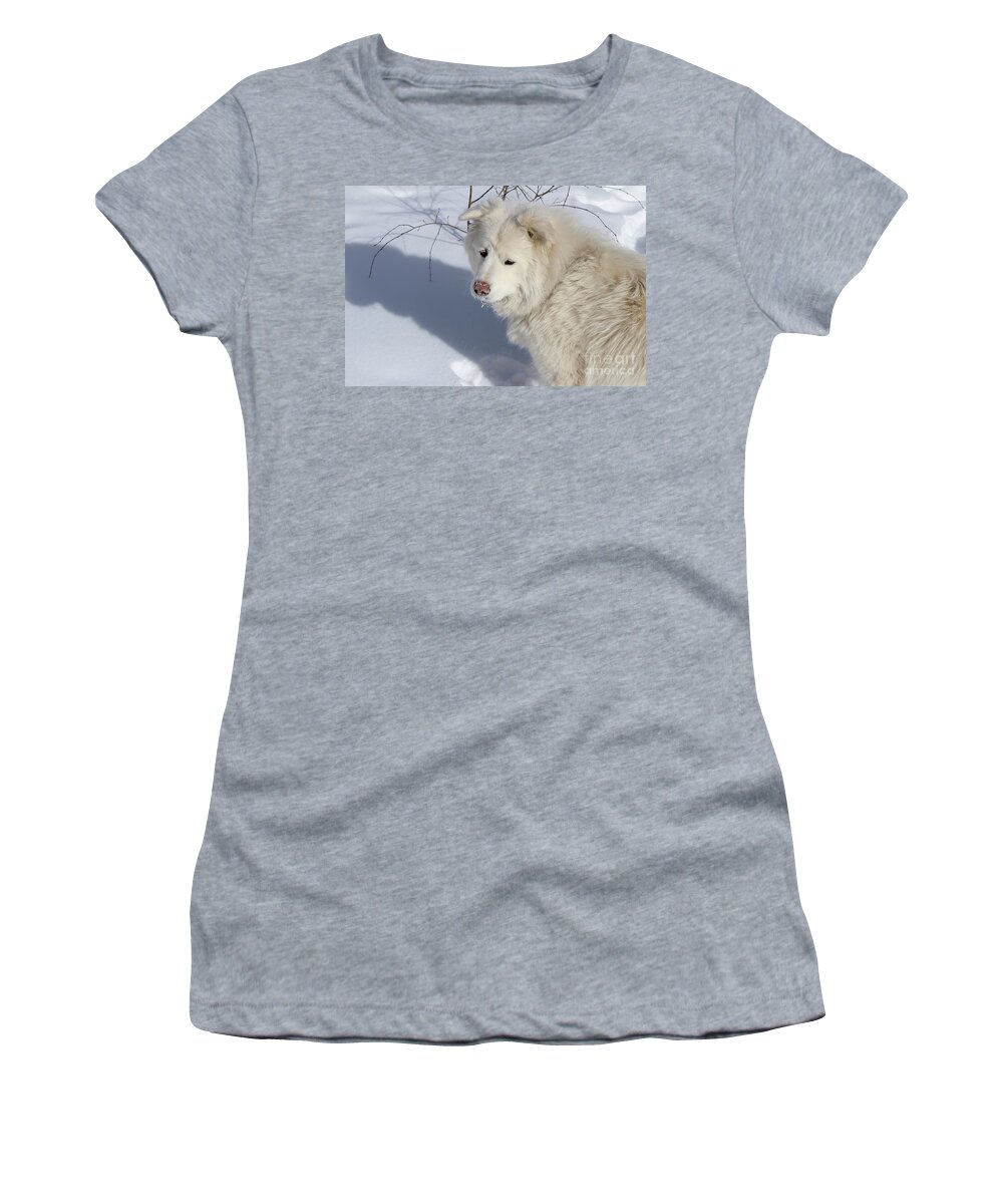 Dog Women's T-Shirt featuring the photograph Snowy Nose #2 by Fiona Kennard