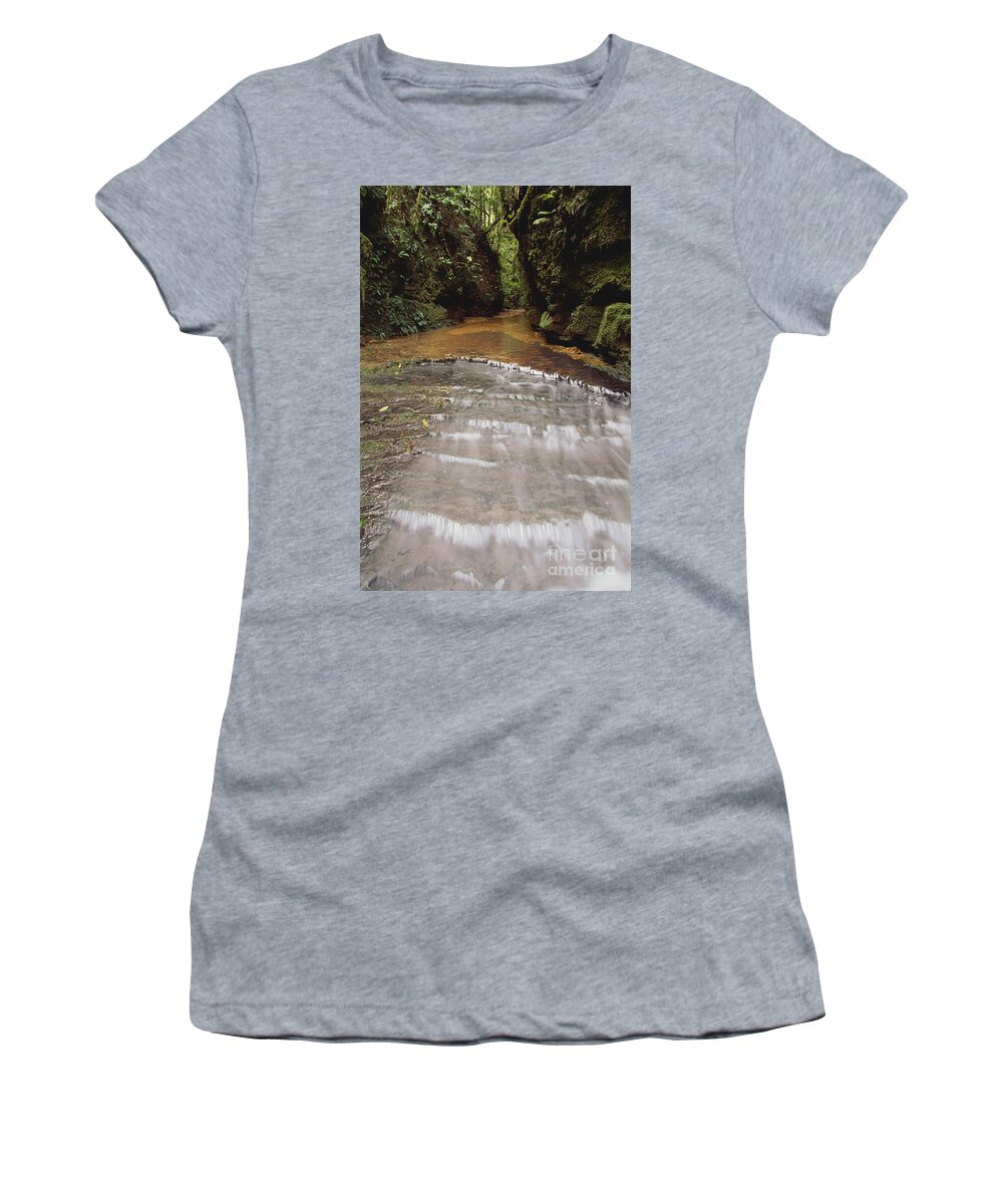 Outdoors Women's T-Shirt featuring the photograph Stream In Rainforest #2 by Art Wolfe