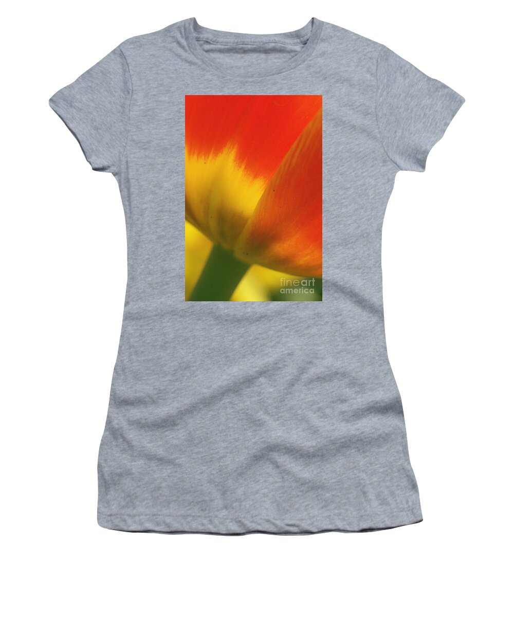 Flora Women's T-Shirt featuring the photograph Tulip Close Up 2 by Rudi Prott