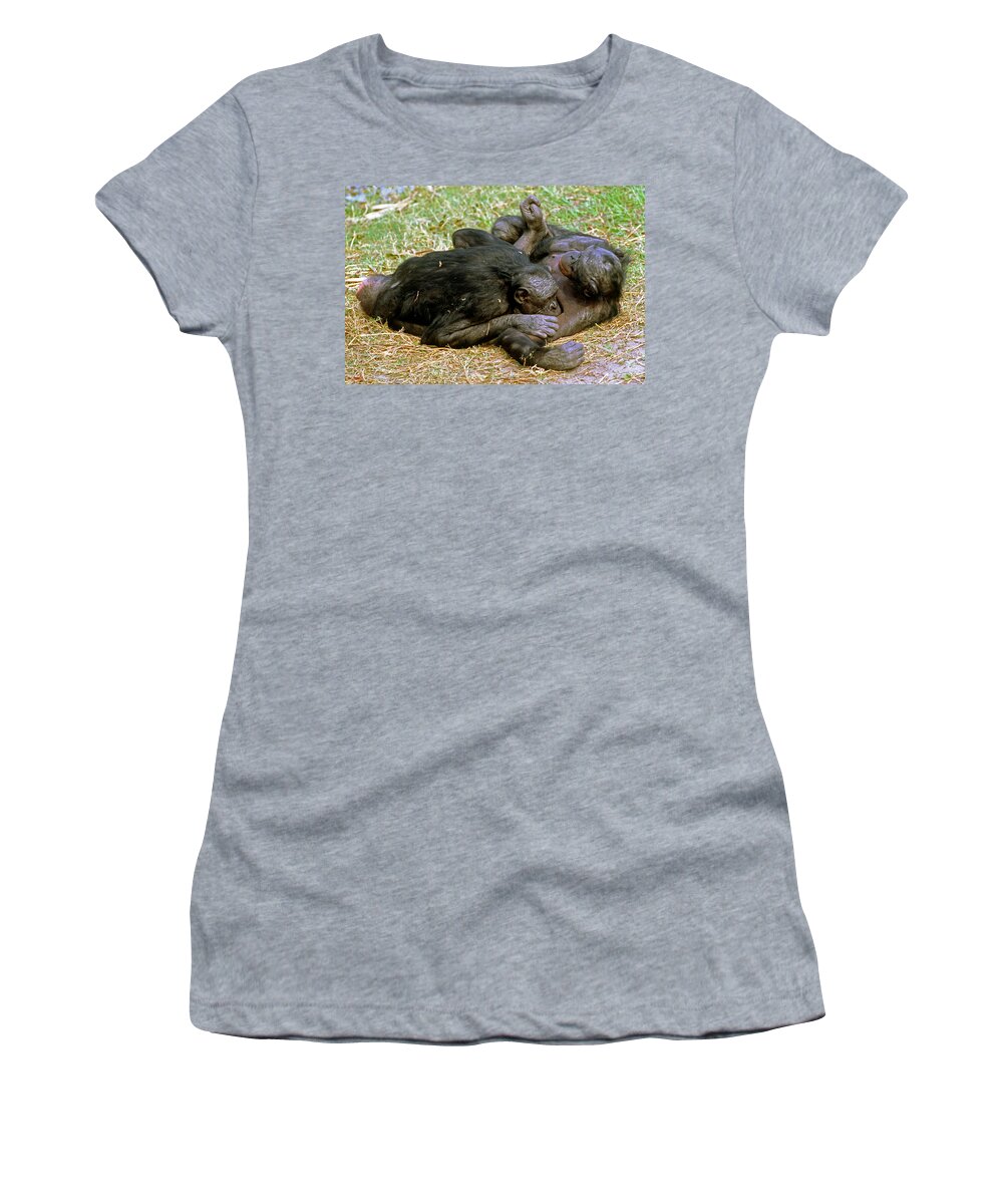Bonobo Women's T-Shirt featuring the photograph Bonobo #22 by Millard H. Sharp