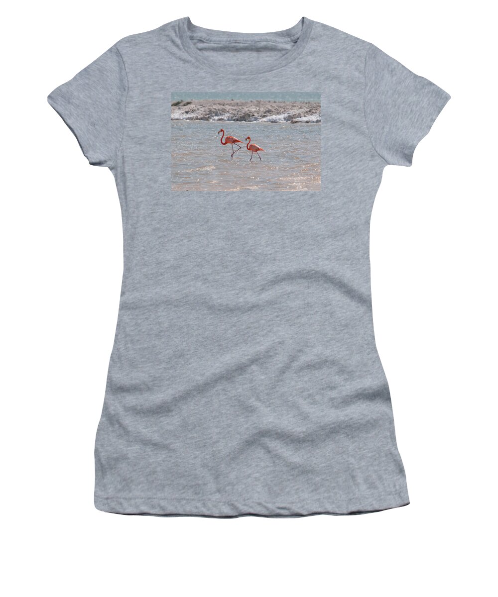 Mexico Yucatan Women's T-Shirt featuring the digital art Flamingos #24 by Carol Ailles