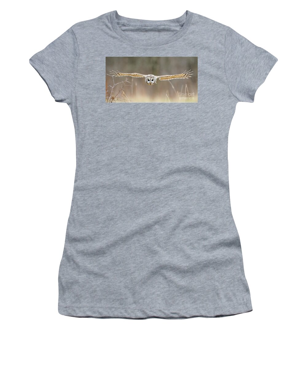 Barred Owl Women's T-Shirt featuring the photograph Barred Owl In Flight #5 by Scott Linstead