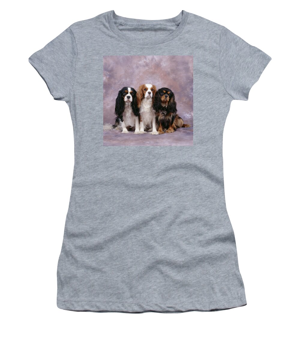 Dog Women's T-Shirt featuring the photograph Cavalier King Charles Spaniels #3 by John Daniels