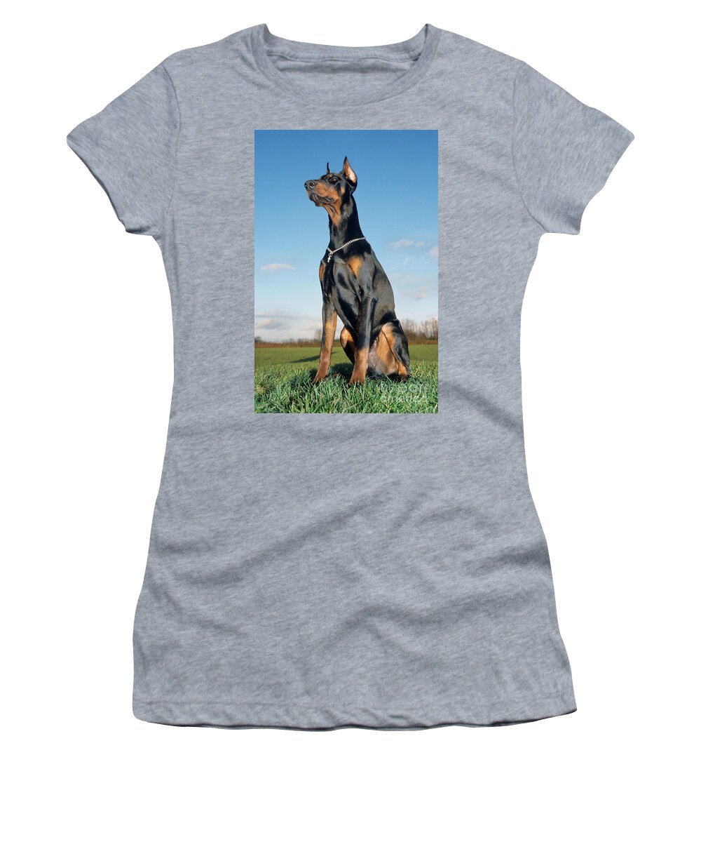 Dog Women's T-Shirt featuring the photograph Doberman Pinscher #3 by Johan De Meester