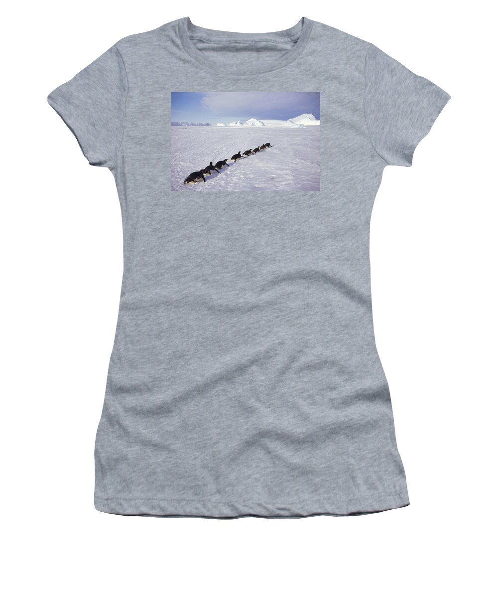 Feb0514 Women's T-Shirt featuring the photograph Emperor Penguins Tobogganing Antarctica #3 by Tui De Roy