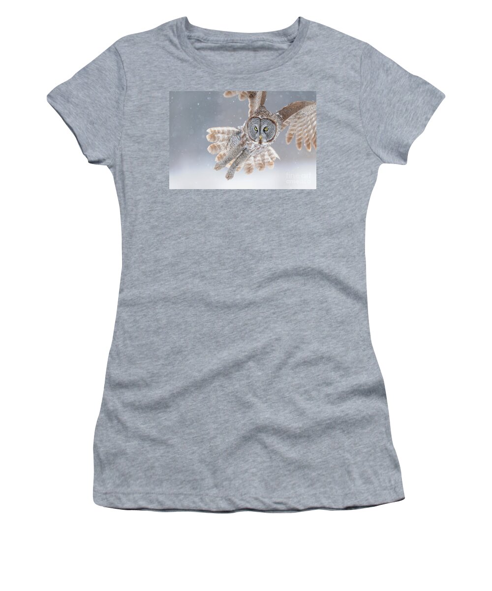 Animal Women's T-Shirt featuring the photograph Great Grey Owl #2 by Scott Linstead