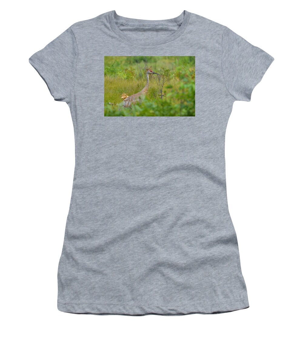 Nature Women's T-Shirt featuring the photograph Looking #3 by James Petersen