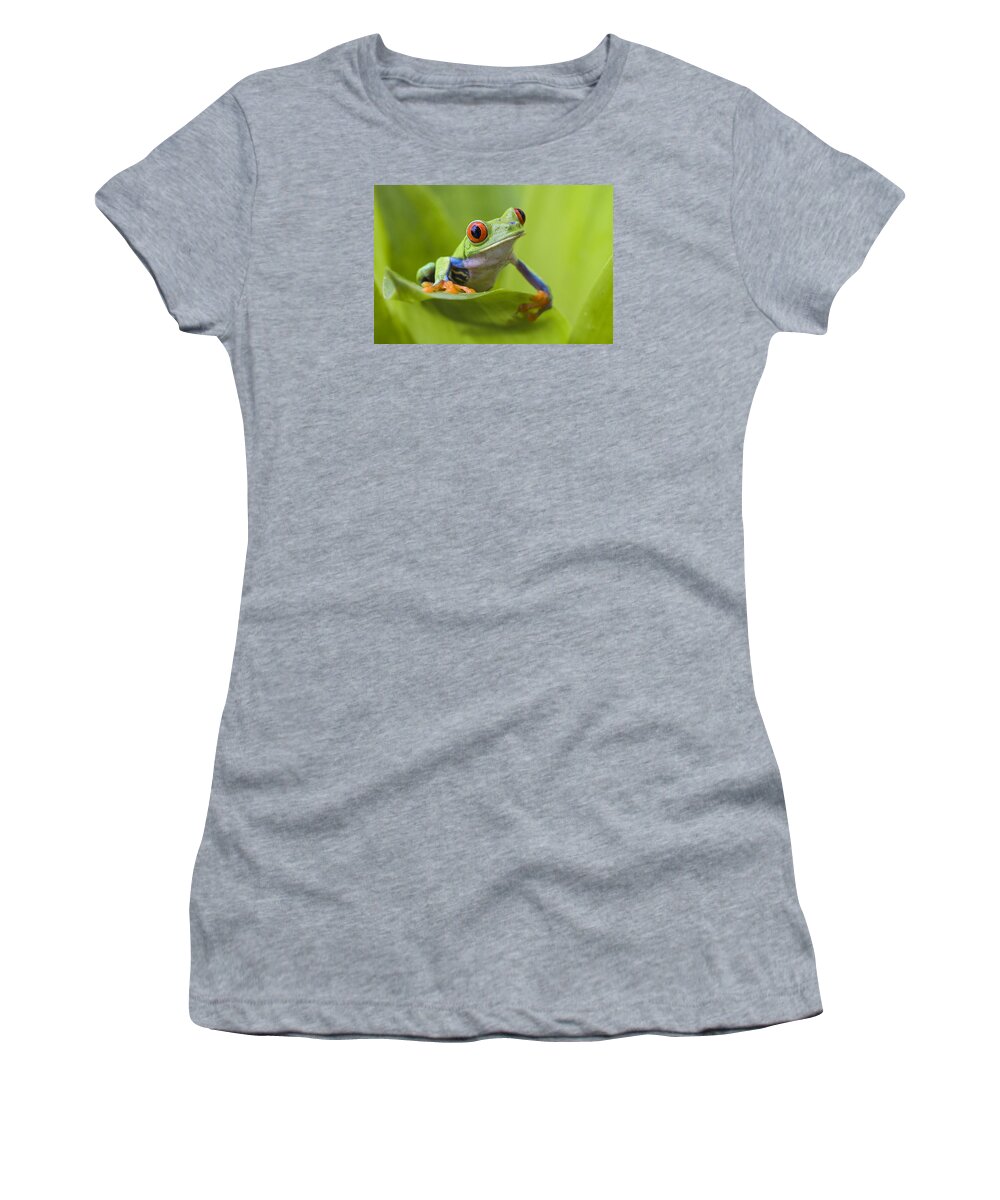 Feb0514 Women's T-Shirt featuring the photograph Red-eyed Tree Frog Costa Rica #4 by Suzi Eszterhas