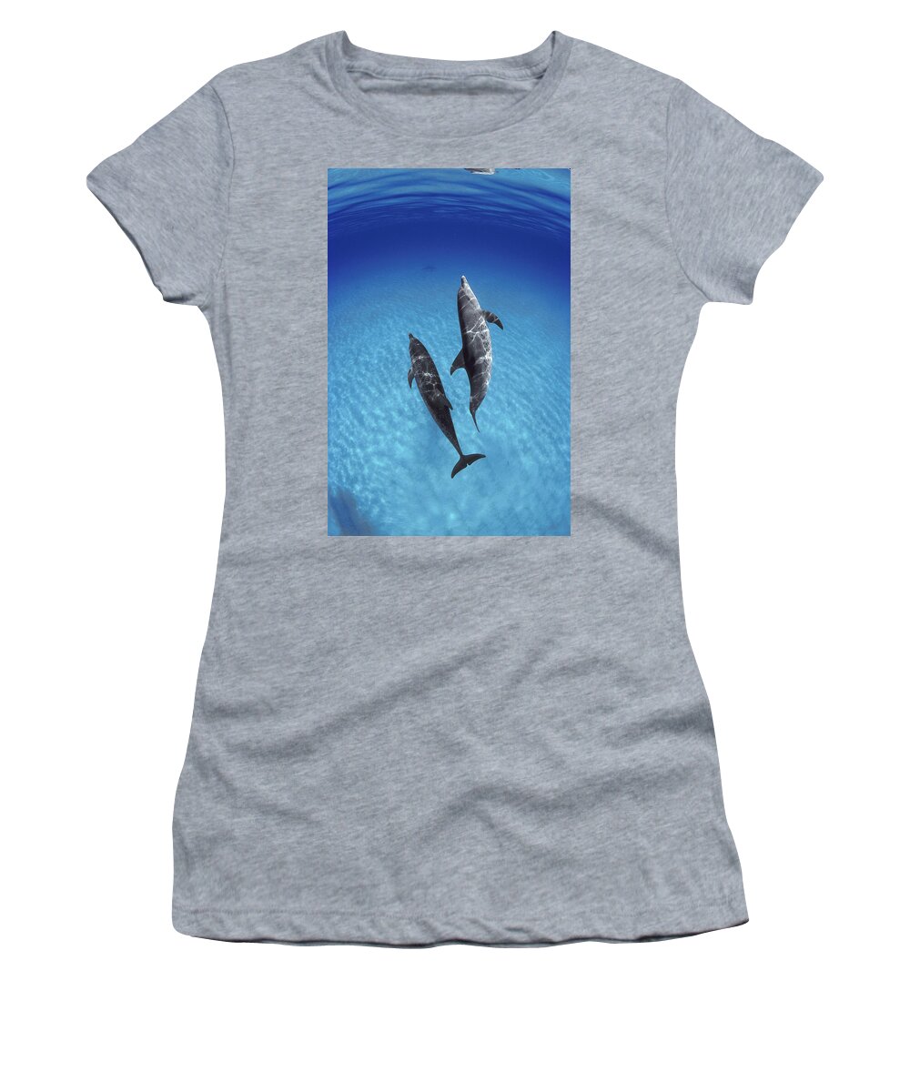 Feb0514 Women's T-Shirt featuring the photograph Atlantic Spotted Dolphin Pair Bahamas #4 by Flip Nicklin