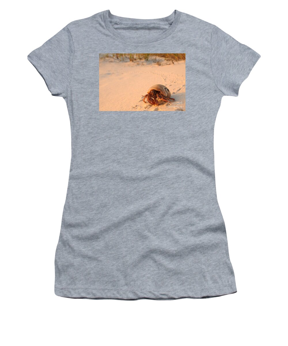 Beach Women's T-Shirt featuring the photograph Hermit Crab by Scott Linstead