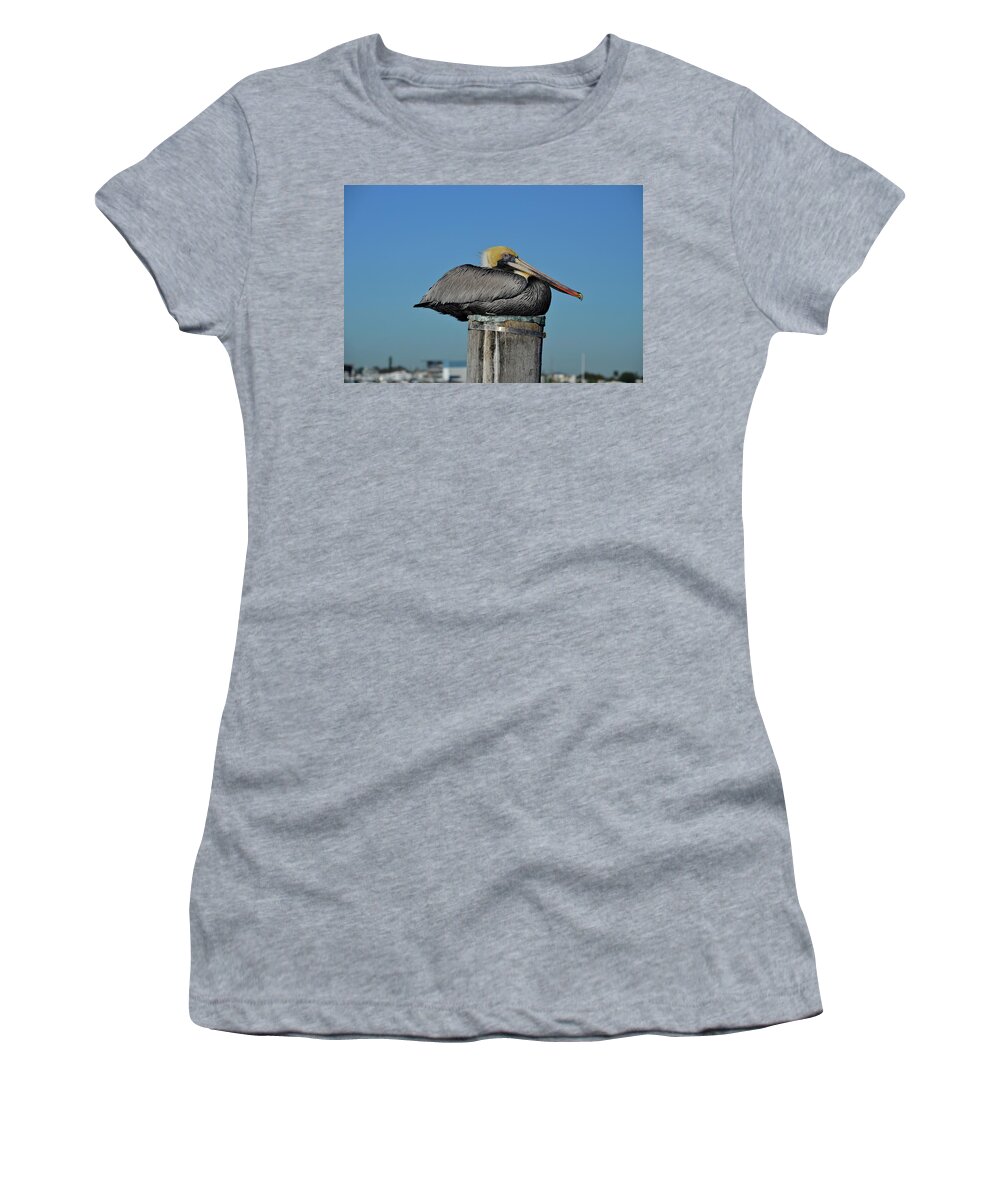 Brown Pelicans Women's T-Shirt featuring the photograph 51- Brown Pelican by Joseph Keane